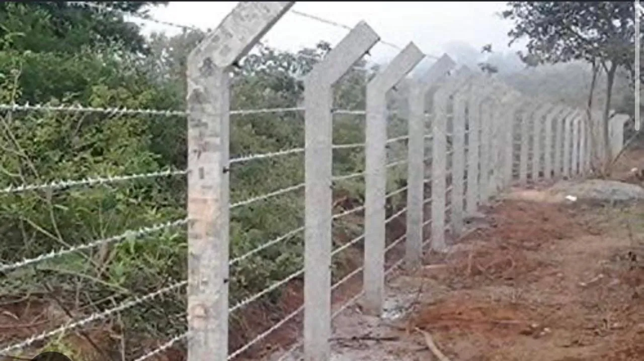 Barbed wire fencing on concrete posts with angled tops